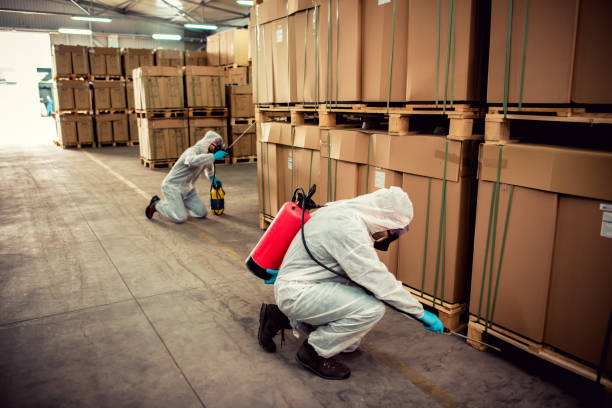 Professional Pest Control in Collierville, TN