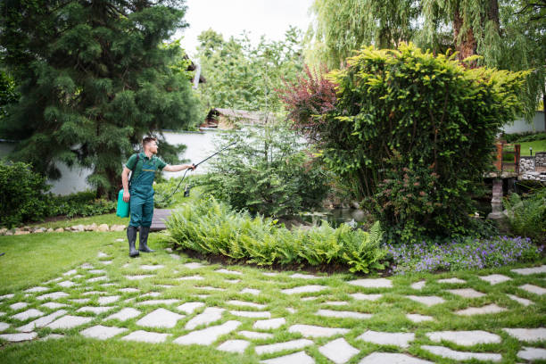 Best Pest Control Near Me  in Collierville, TN