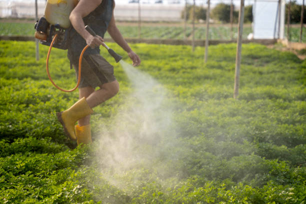 Best Exterminator Services  in Collierville, TN