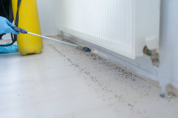 Best Pest Inspection Near Me  in Collierville, TN