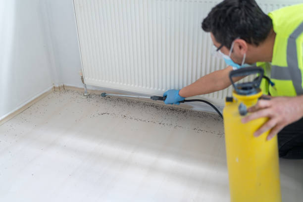 Best Bed Bug Extermination  in Collierville, TN