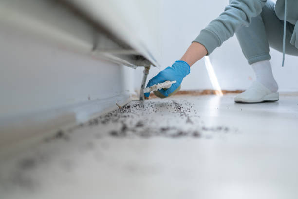 Best Pest Control for Businesses  in Collierville, TN